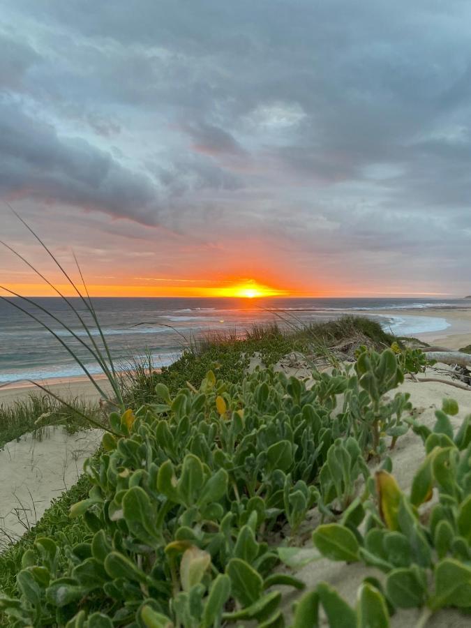 Soutelande Country Stay - Close To 1#Beach In Pe 포트엘리자베스 외부 사진