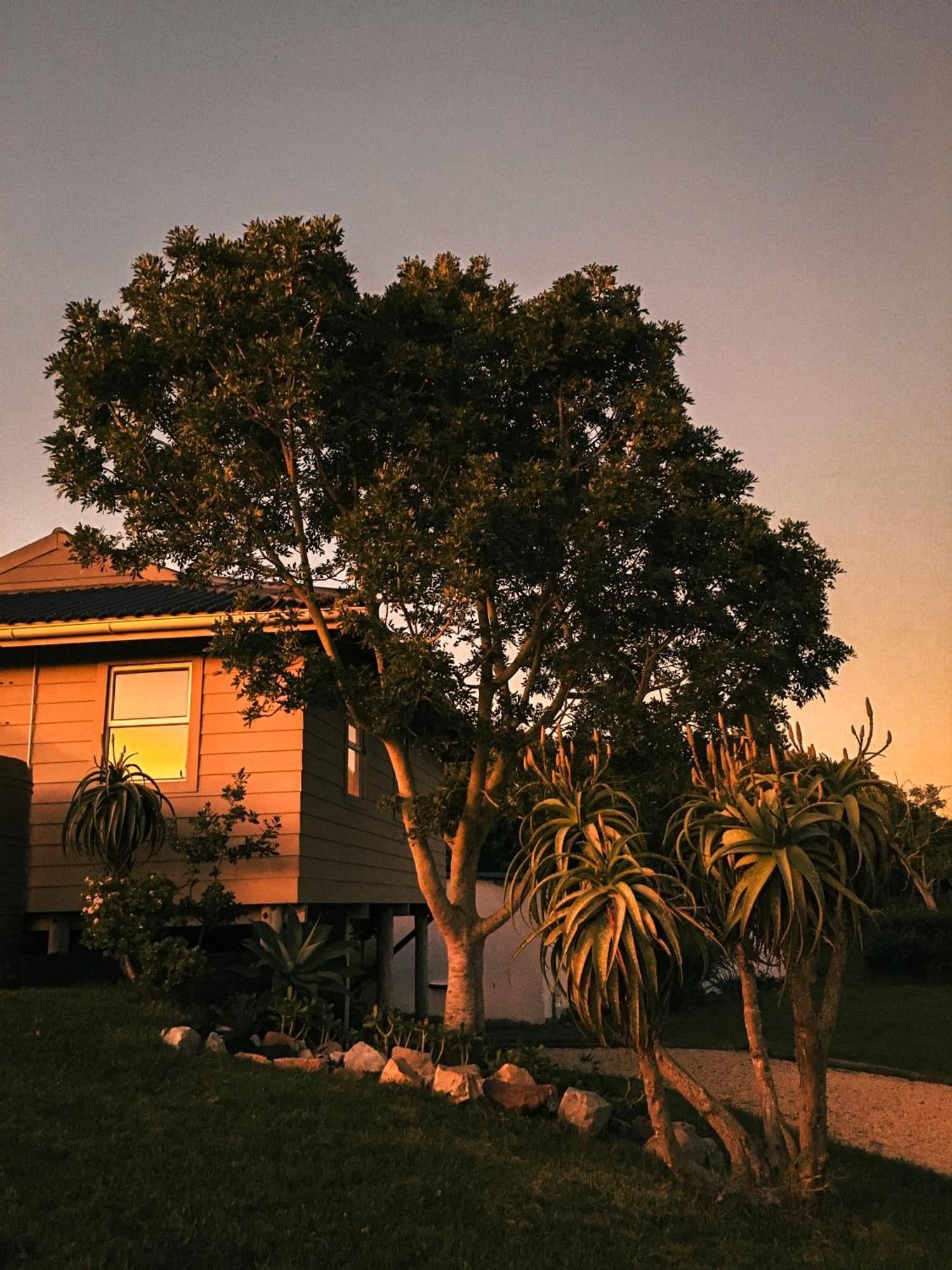 Soutelande Country Stay - Close To 1#Beach In Pe 포트엘리자베스 외부 사진